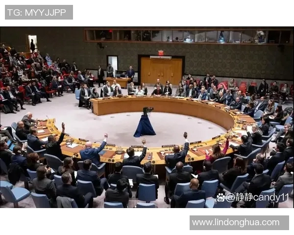 美国与俄罗斯的对抗视频解析揭示两国关系的深层次矛盾与未来走向