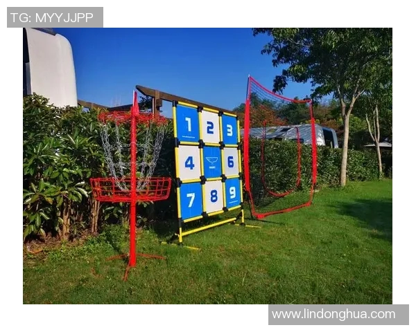 飞盘运动的魅力与挑战杨磊分享个人成长与职业生涯的心路历程