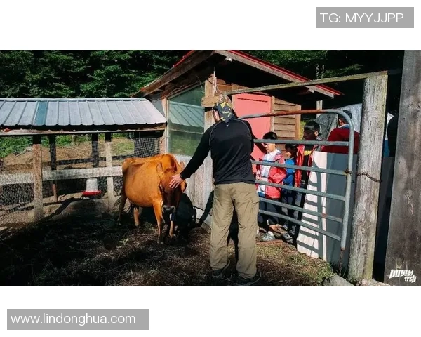 攀岩人生的探索与坚持：杨秀英的深度对话与心路历程