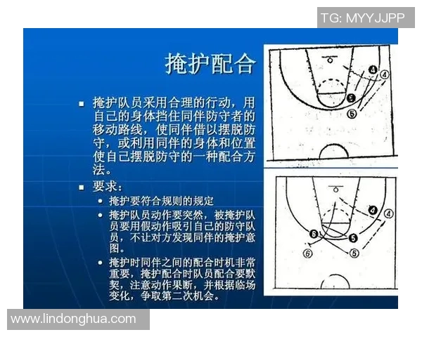 V5在挑战者杯中的战术表现分析与未来展望
