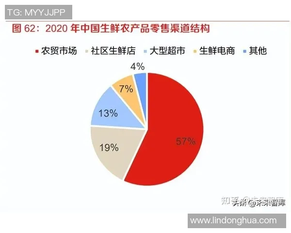 上海网球队盯防体系解析与网球战术的深度探讨