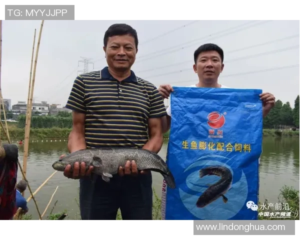 专访周秀英：探寻她在足球领域取得成功的秘诀与经验分享